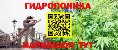 соль ск Пушкино