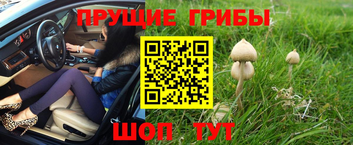 Семилуки  Псилоцибиновые грибы мухоморы  Вход с VPN 